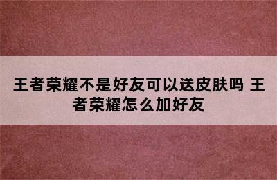 王者荣耀不是好友可以送皮肤吗 王者荣耀怎么加好友